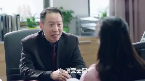 校长的欲望,共创教育辉煌未来-第2张图片-成年电影网