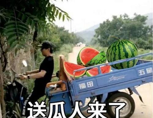 最近大瓜事件,揭秘明星隐私风波背后的真相-第1张图片-成年电影网