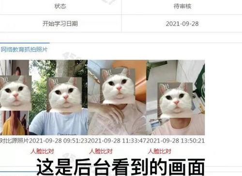 视频调成人脸识别,人脸识别技术深度解析与应用-第1张图片-成年电影网