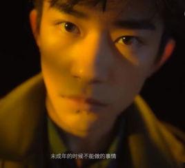 成人的意义视频,探索成长与自我实现的奥秘-第1张图片-成年电影网
